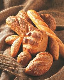 Köstliche Brot-Nahrungsmittelverkürzung selbst gemacht für Teig-Vergrößerer