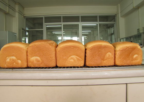 Destilliertes Mono-Glycerid E-DH-Z45