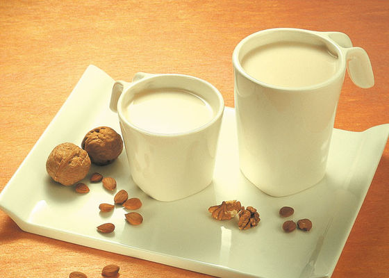 Destilliertes Mono-Glycerid E-DH-Z45